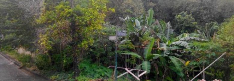 El Monteverde de Cebu