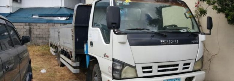 Mini Dump/Boom Truck for Rental Service.