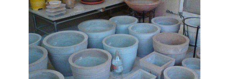 POTS & Plants by MARIS