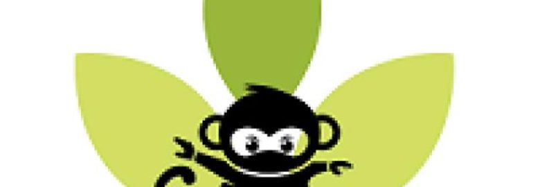 Virtual Ninjas PH