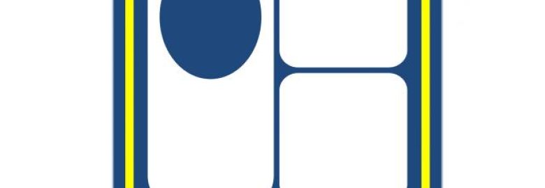 Innovative Investors and Financing Co. Inc
