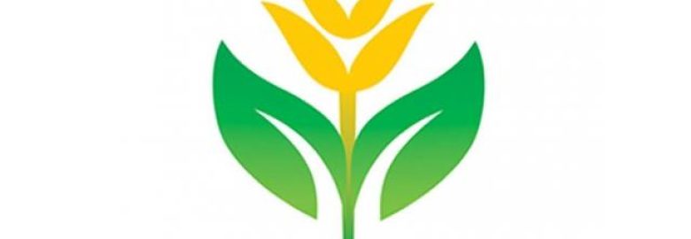 Grainsmart Rice Business