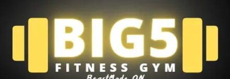 Big 5 Fitness Gym