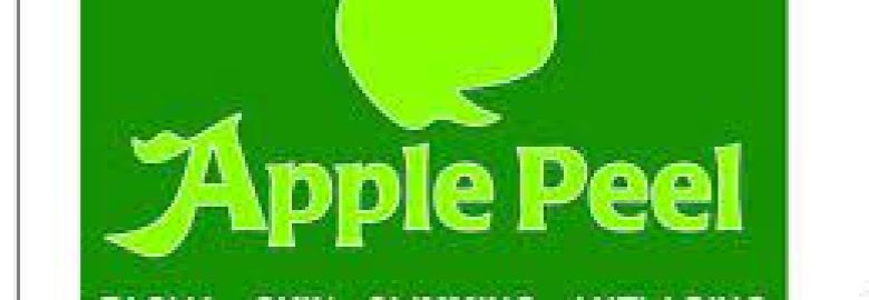Apple Peel Facial Care and Spa Pedro Gil branch