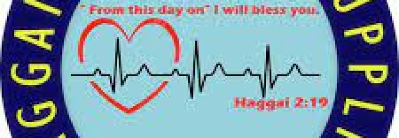 Haggai Medical Supplies
