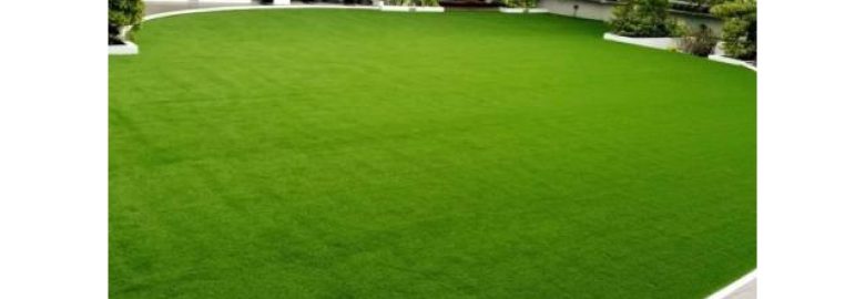 Turf Artificial Grass And Plants Supplier In The Philippines