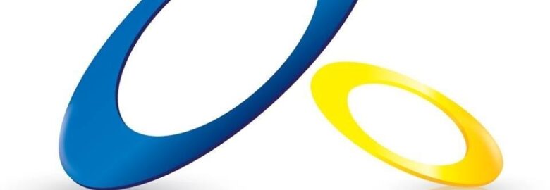 T and S Global Solution Inc.
