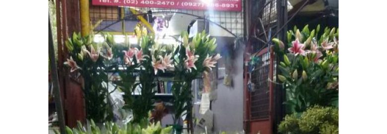 Claire's Flower Shop