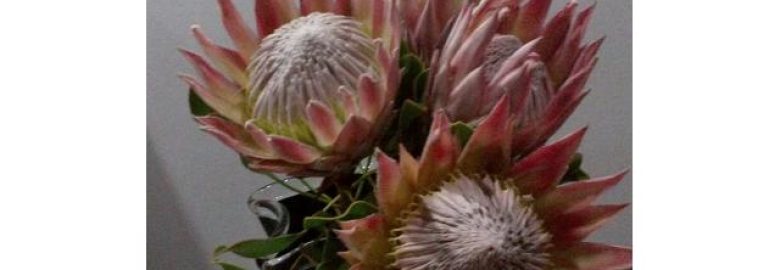 Nene's Flower Shop