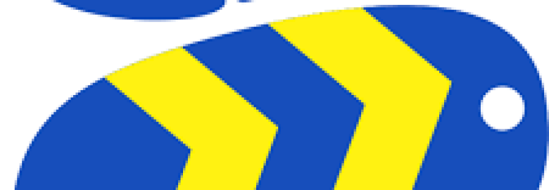 Bluebee Express